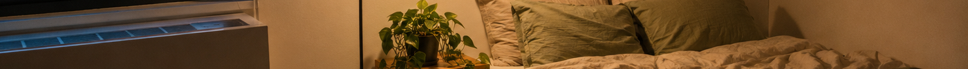 Cozy Studio Apartment Decor: How to Style an Earthy, Aesthetic Space Under $100 (Rental-Friendly)