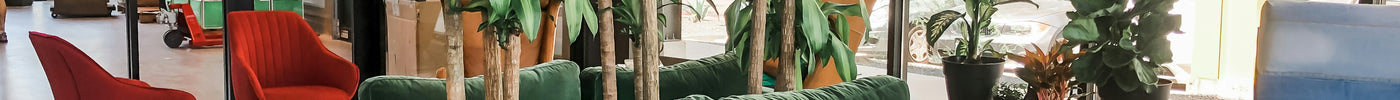 Creating Cozy Corners: Eco-Friendly Furniture Ideas for Compact Living Spaces - LeafyLoom