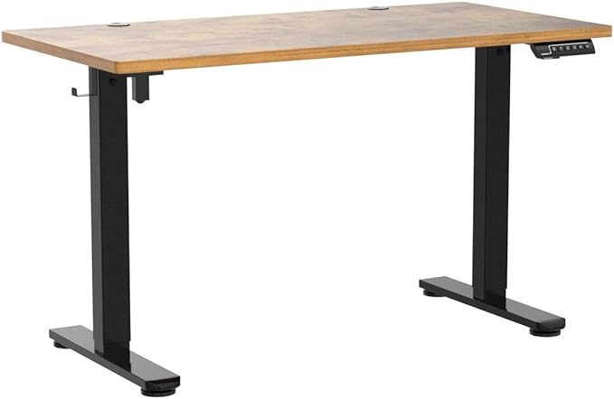 Marsail Electric Standing Desk, 48 * 24 Inch Height Adjustable Sit Stand up Desk with 3 Memory Preset, Headphone Hook Computer Desk Workstation for Home Office, Treadmill Pad - LeafyLoom