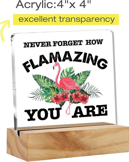 Motivational Flamingo Acrylic Desk Sign Decoration Plaque Never Forget How Flamazing You are Desk Sign Keepsake Home Office Room Desk Decor - LeafyLoom