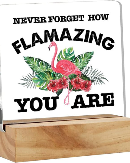 Motivational Flamingo Acrylic Desk Sign Decoration Plaque Never Forget How Flamazing You are Desk Sign Keepsake Home Office Room Desk Decor - LeafyLoom