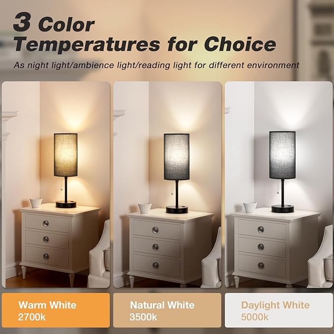 Dicoool 18Inch Tall Bedroom Lamps with USB C and A Ports 3 Color Temperatures - Pull Chain Black Nightstand Bedside Table Lamp with AC Outlet, Side Lamp for Living Room End Table - LeafyLoom