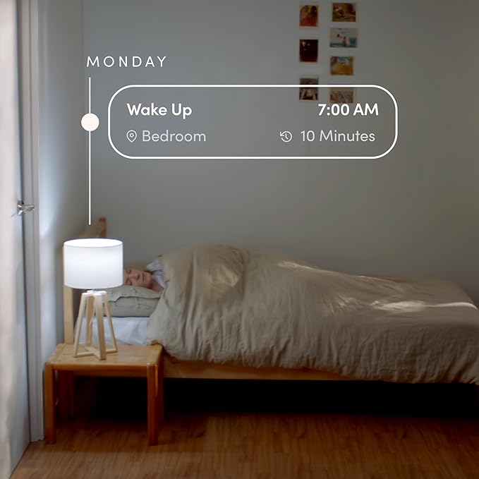 LIFX White A19 WiFi Smart LED Light Bulb, Dimmable, No Hub Required, Works with Alexa and Apple Home Kit, Hey Google, 2700k Warm White, 650 Lumens, 25,000-hour Lifetime, L3A19LW06E26US/12, 12 Pack LIFX
