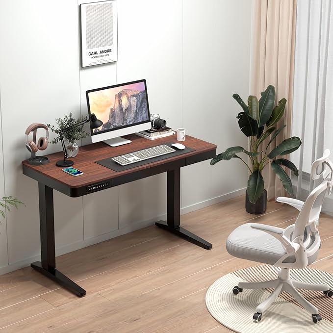 Standing Desk with Drawer and Wireless Charging,48x24 inch Dual Motor Electric Standing Desk,Stand Up Desk with Whole-Piece Desktop(Black Oval Legs+Rustic Brown Top) - LeafyLoom
