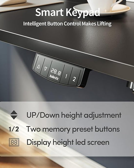 Electric Standing Desk, 48 x 24 Inches Height Adjustable Desk, Sit Stand up Desk for Work Office Home, Ergonomic Rising Gaming Computer Table with Memory Preset, Black - LeafyLoom