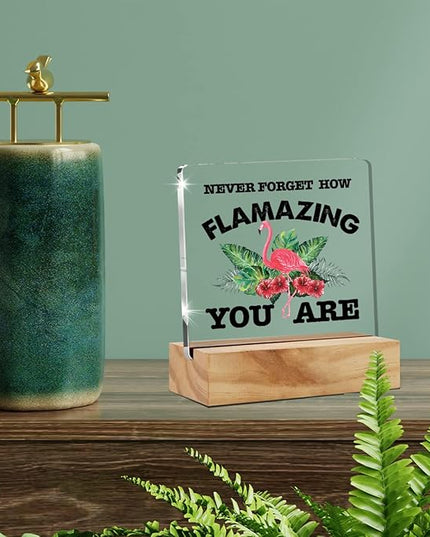 Motivational Flamingo Acrylic Desk Sign Decoration Plaque Never Forget How Flamazing You are Desk Sign Keepsake Home Office Room Desk Decor - LeafyLoom