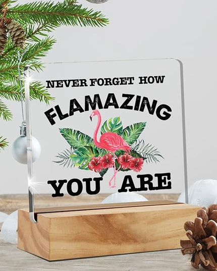 Motivational Flamingo Acrylic Desk Sign Decoration Plaque Never Forget How Flamazing You are Desk Sign Keepsake Home Office Room Desk Decor - LeafyLoom