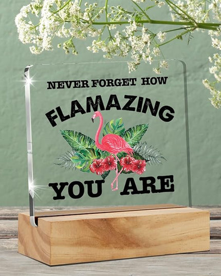 Motivational Flamingo Acrylic Desk Sign Decoration Plaque Never Forget How Flamazing You are Desk Sign Keepsake Home Office Room Desk Decor - LeafyLoom