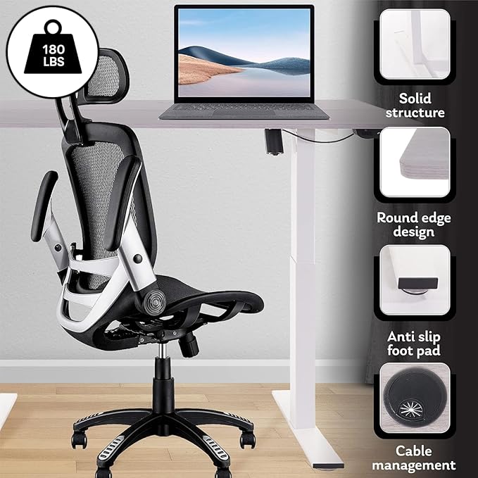 Electric Standing Desk - Adjustable Height Desk with Laptop Stand, Sit Stand Desk, Riser Table (48 inch x 24 inch), Smoothly and Quietly Adjust from 27 to 45 inches, White Frame, Gray Desktop - LeafyLoom