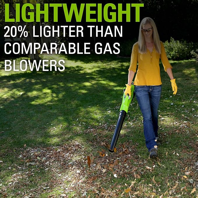 Greenworks 40V (110 MPH / 390 CFM) Cordless Axial Blower, 2.5Ah Battery and Charger Included - LeafyLoom