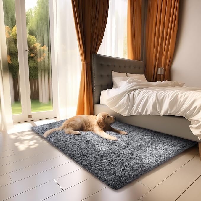Ophanie Small Area Rug, 2x3 Machine Washable Throw Grey Cheap Fluffy Shaggy Soft Bedside Rug, Indoor Floor Gray Carpet for Kids Baby Boys Teen Dorm Room Doorway, Nursery,Home Decor Aesthetic - LeafyLoom