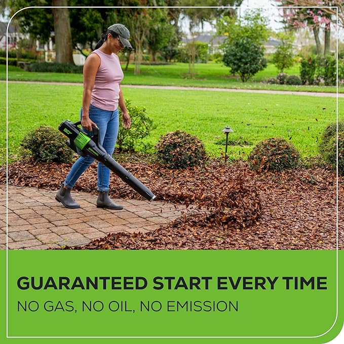 Greenworks Pro 80V (145 MPH / 580 CFM) Brushless Cordless Axial Leaf Blower, 2.5Ah Battery and Charger Included BL80L2510 & PRO 80V 2.0Ah Lithium-Ion Battery (Genuine Battery) - LeafyLoom