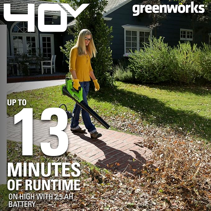 Greenworks 40V (110 MPH / 390 CFM) Cordless Axial Blower, 2.5Ah Battery and Charger Included - LeafyLoom