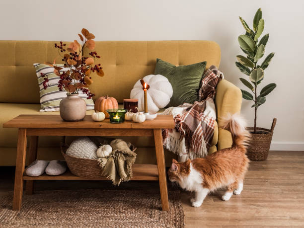 2025-Fall-Interior-Trends-7-Ways-to-Make-Your-Home-Cozy-with-Apple-Cider-Aesthetic LeafyLoom
