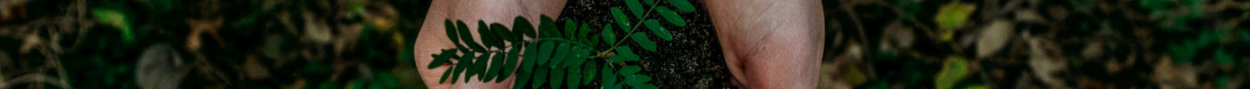 Embracing Nature with LeafyLoom: Our Commitment to a Greener Future - LeafyLoom