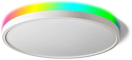 TALOYA Alexa Ceiling Light Smart, WiFi, Compatible with Google, 15.8 Inch Modern Dimmable Flush Mount LED Light Fixture for Living Room Office Kitchen, 28W RGBW Taloya