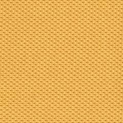 Steelcase Gesture Office Chair - Cogent: Connect Tumeric Fabric, Low Seat Height, Wrapped Back, Dark on Dark Frame, Lumbar Support - LeafyLoom