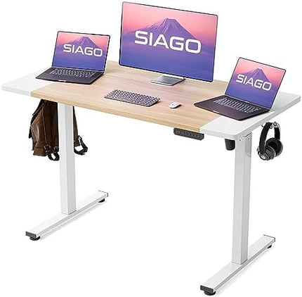 Electric Standing Desk Adjustable - 48 x 24 Inch Sit Stand up Desk with Cable Management - 3 Memory Preset Adjustable Height Desk Computer Home Office Desk - LeafyLoom
