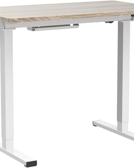 FLEXISPOT Standing Desk Quick Assembly Electric Stand Up Desk Whole-Piece Desktop Ergonomic Memory Controller Height Adjustable Desk(White Frame + 40" Grey Wood Grain Desktop) - LeafyLoom
