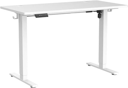 SMUG Electric Standing Desk, 55 x 24 Inch Ergonomic Adjustable Desk Stand with Memory Preset, Modern Style, Suitable for Office, Drafting, Writing, Gaming, White - LeafyLoom