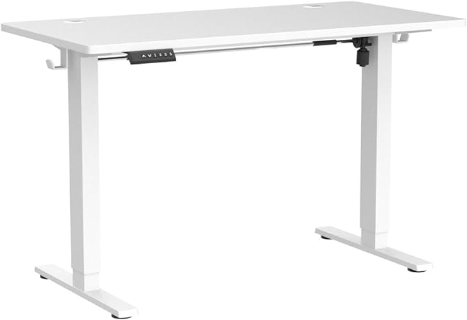 SMUG Electric Standing Desk, 55 x 24 Inch Ergonomic Adjustable Desk Stand with Memory Preset, Modern Style, Suitable for Office, Drafting, Writing, Gaming, White - LeafyLoom