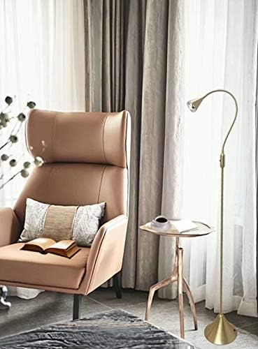 LED Floor Lamp,Floor Lamp for Living Room,Bedroom,Office,Reading Lamp,Floor Light,Flexible Gooseneck,Metal,Gold,LED 5W,3000K,Energy Efficient Super Bright for Home and Hotel. - LeafyLoom