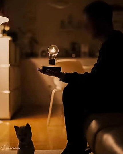 Magnetic Levitating Floating Wireless LED Light Bulb Desk Lamp ，Magic Desk lamp, Science Fiction into Reality, Suitable for Room and Office Decoration,Unique Gift Instantly Become The Focus - LeafyLoom