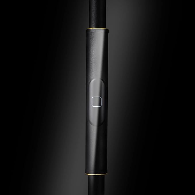 JOOFO Floor Lamp,30W/2400LM Sky LED Modern Torchiere 3 Color Temperatures Super Bright Floor Lamps-Tall Standing Pole Light with Remote & Touch Control for Living Room,Bed Room,Office (Black-Gold) - LeafyLoom