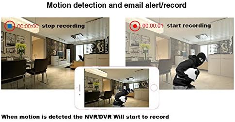 16CH 5M-N/1080N Full High Definition Hybrid for AHD/TVI/CVI/Analog/IP DVR H.265 CCTV Video Recorder P2P Remote Phone Monitoring for Home Security Surveillance System Camera (NO HDD) XENOCAM