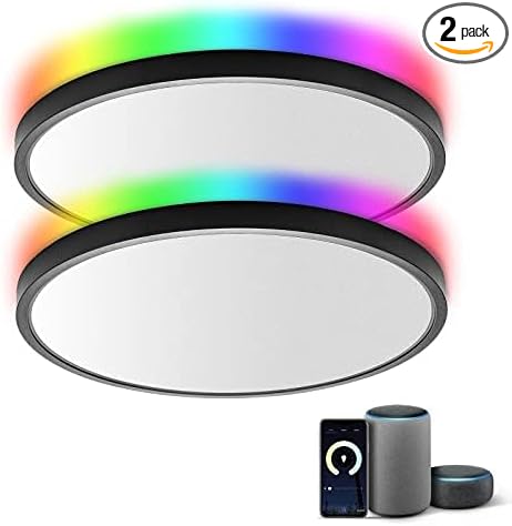 TALOYA 2 Pack Black Smart Ceiling Light Flush Mount LED WiFi, Compatible with Alexa Google Home, Dimmable Low Profile Ambient Light Fixture for Bedroom Living Room,12 Inch 24W Taloya