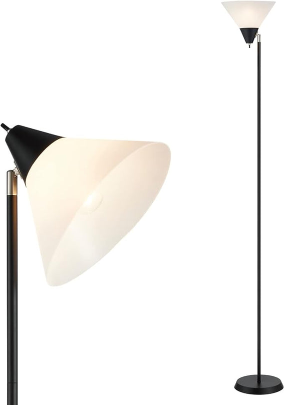 Floor Lamp Standing Lamp Adjustable Head Arcylic Shade Floor Lamps for Living Room/Office/Bedroom (Black) - LeafyLoom