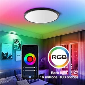 TALOYA 2 Pack Black Smart Ceiling Light Flush Mount LED WiFi, Compatible with Alexa Google Home, Dimmable Low Profile Ambient Light Fixture for Bedroom Living Room,12 Inch 24W Taloya