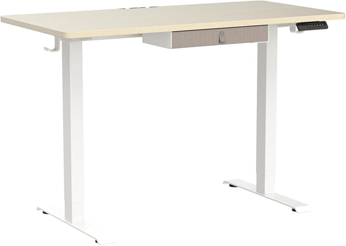 Marsail Standing Desk with Drawer, 48x24 Inch Adjustable Height Standing Desk, Electric Stand up Desk, Sit Stand Home Office Desk, Ergonomic Workstation for Home Office Computer Gaming Desk Maple - LeafyLoom