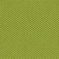 Steelcase Gesture Office Chair - Cogent: Connect Wasabi Fabric, Low Seat Height, Wrapped Back, Dark on Dark Frame, Lumbar Support - LeafyLoom