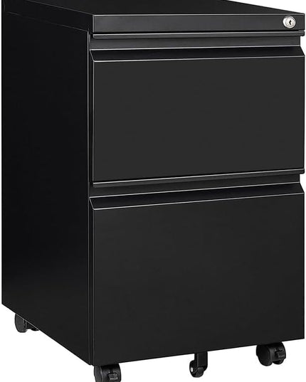 Panana 2-Drawer Mobile File Cabinet with Lock, Commercial Vertical Cabinet, Rolling Filing Cabinet for Letter/A4 Size (Black) - LeafyLoom
