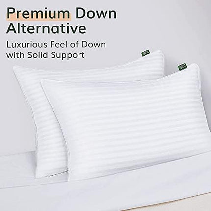 Fern and Willow Pillows for Sleeping - Set of 2 Queen Size 20"x28" Down Alternative Pillow Set w/Luxury Plush Cooling Material for Side, Back & Stomach Sleepers - LeafyLoom