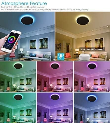 TALOYA 18 Inch Flush Mount Light Fixture Led,Compatible with Alexa Google Assistant Smart Life App,Sleek Round Ceiling Fixture,36+4W Main Light and RGB Night Light Adjustable,Enabled by 2.4G Wi-Fi Taloya