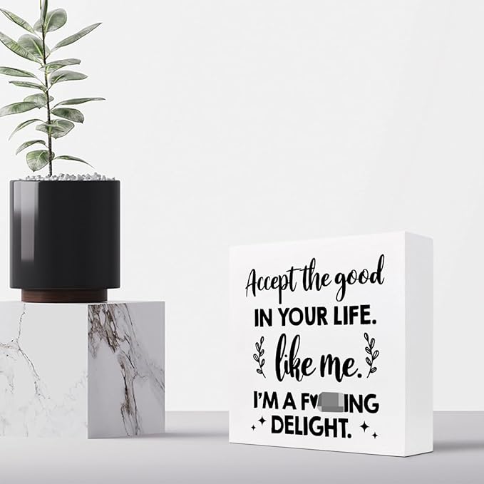 Accept the Good in Your Life Like Me I'm a Delight Wood Box Sign Desk Decor,Funny Positive Quote Wooden Block Plaque Sign for Home Office Shelf Table Decorations - LeafyLoom