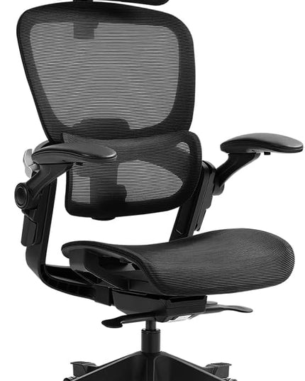 HINOMI H1 Classic V3 Ergonomic Office Chair with Lumbar Support - Comfy Computer Chair with Mesh, Home Office Desk Chair with Adjustable Arms, Comfortable Office Chair Back Support (with Headrest) - LeafyLoom