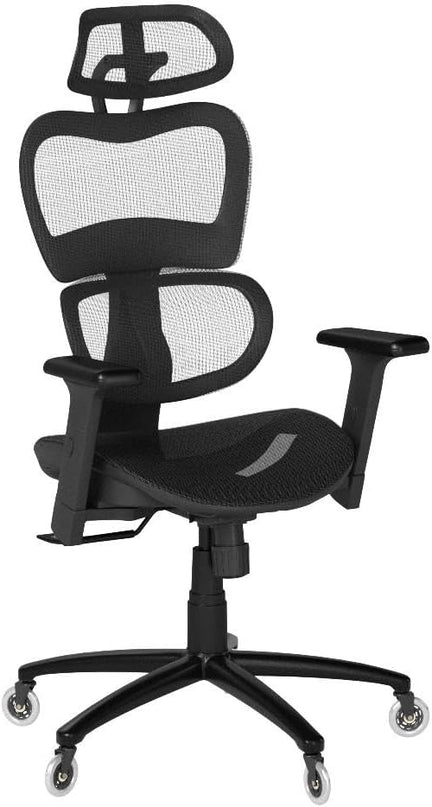 Nouhaus Ergo3D Ergonomic Office Chair Lumbar Support Mesh Office Chair with 4D Adjustable Armrest, Adjustable Headrest and Wheels, Mesh High Back Home Office Desk Chairs(Black) - LeafyLoom