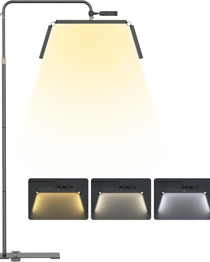 cenoz Lash Light for Eyelash Extensions, 36" Esthetician Light, Half Moon Light, Dual Arm LED Tattoo Light, Adjustable Floor LED Lamps for Makeup, Photography, Selfie, Video Recording(BLACK) - LeafyLoom