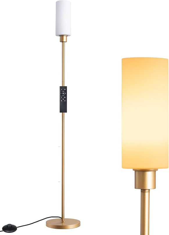 EDISHINE LED Corner Floor Lamp with Glass Lampshade, Modern Dimmable Lamp with Remote, 5 CCT, 65" Tall Standing Light for Living Room, Bedroom, Office, Bulb Included (Gold) - LeafyLoom