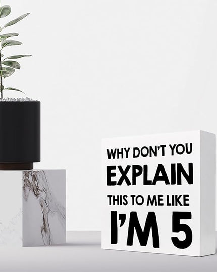 Why Don't You Explain This to Me Like I'm 5 Wood Block Sign Desk Decor,Funny Wooden Box Plaque Sign Desk Decor for Home Office Shelf Table Decor Decorations - LeafyLoom