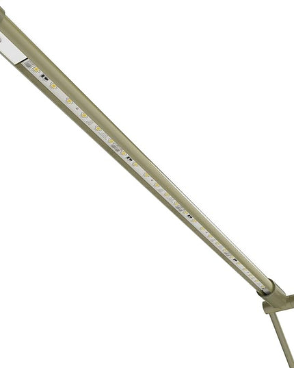 Cocoweb High Powered, dimmable, LED Floor Lamp - FLED-GPS (Antique Brass) - LeafyLoom