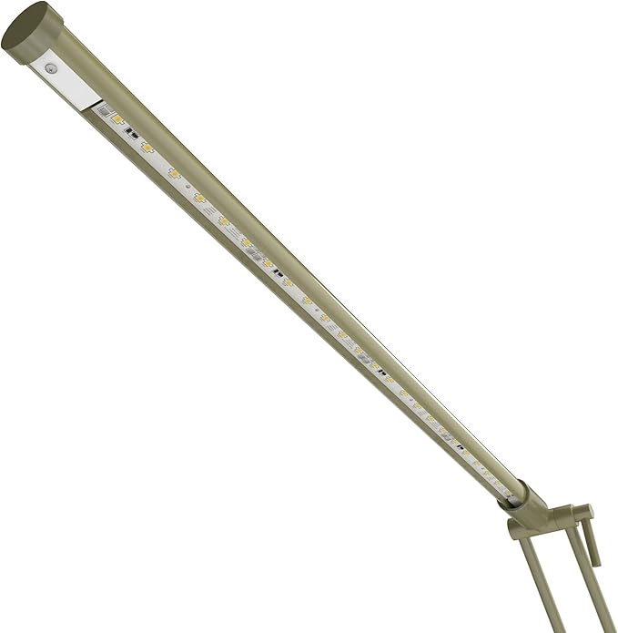 Cocoweb High Powered, dimmable, LED Floor Lamp - FLED-GPS (Antique Brass) - LeafyLoom