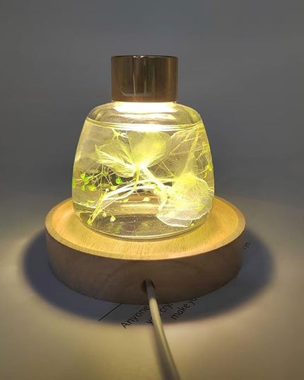 Wooden LED Light Base Aroma Reed Diffuser Base,Diameter 10cm, Adjustable White Light And Warm Light, Suitable For Displaying Himalayan Salt Lamp, Crystal Glass Resin Art . - LeafyLoom