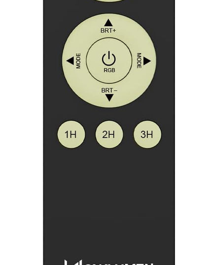 Remote Controller for UFO Floor Lamp-Black - LeafyLoom