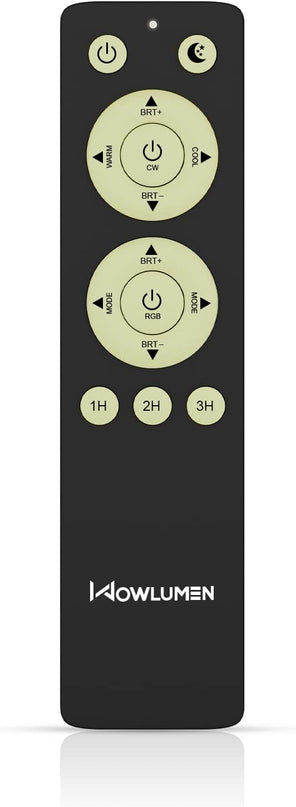 Remote Controller for UFO Floor Lamp-Black - LeafyLoom