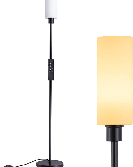EDISHINE LED Corner Floor Lamp with Glass Lampshade, Modern Dimmable Reading Light with Remote, 65" Standing Tall Lamp for Living Room, Bedroom, Office, Bulb Included (Black) - LeafyLoom