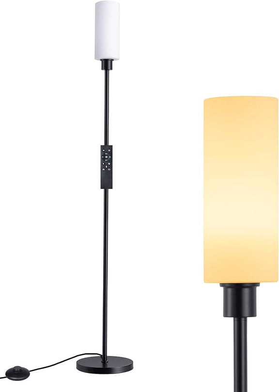 EDISHINE LED Corner Floor Lamp with Glass Lampshade, Modern Dimmable Reading Light with Remote, 65" Standing Tall Lamp for Living Room, Bedroom, Office, Bulb Included (Black) - LeafyLoom